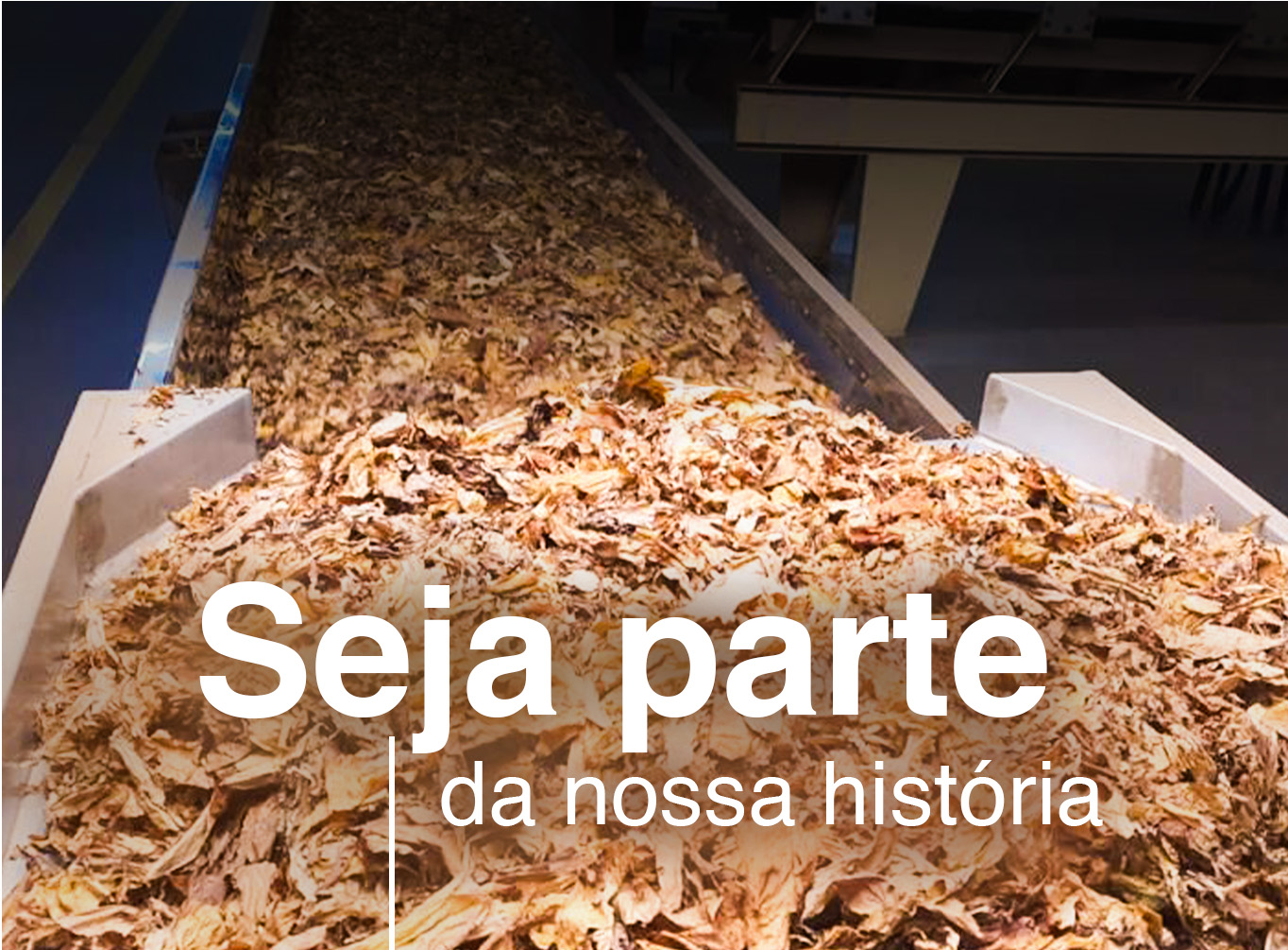 banner-trabalhe-conosco-mobile-4.jpg